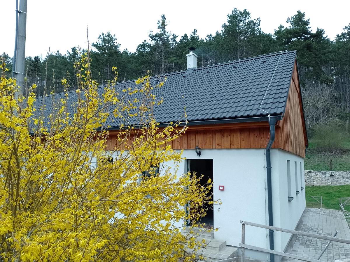 Penzion Litohlavy 17 - Na Samote U Lesa Králŭv Dvŭr Esterno foto