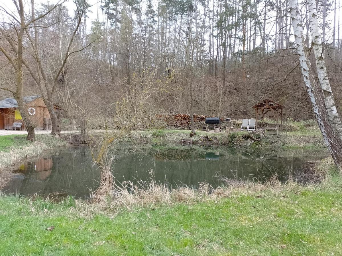 Penzion Litohlavy 17 - Na Samote U Lesa Králŭv Dvŭr Esterno foto