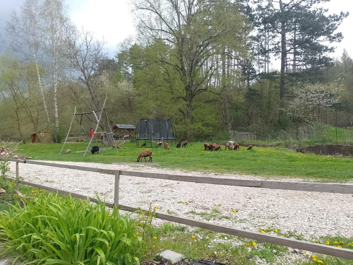 Penzion Litohlavy 17 - Na Samote U Lesa Králŭv Dvŭr Esterno foto