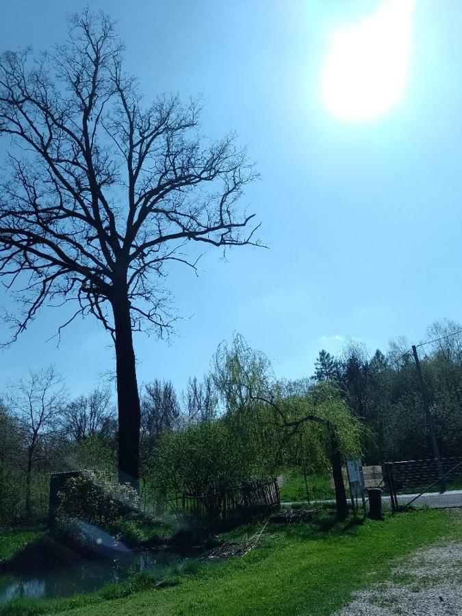 Penzion Litohlavy 17 - Na Samote U Lesa Králŭv Dvŭr Esterno foto