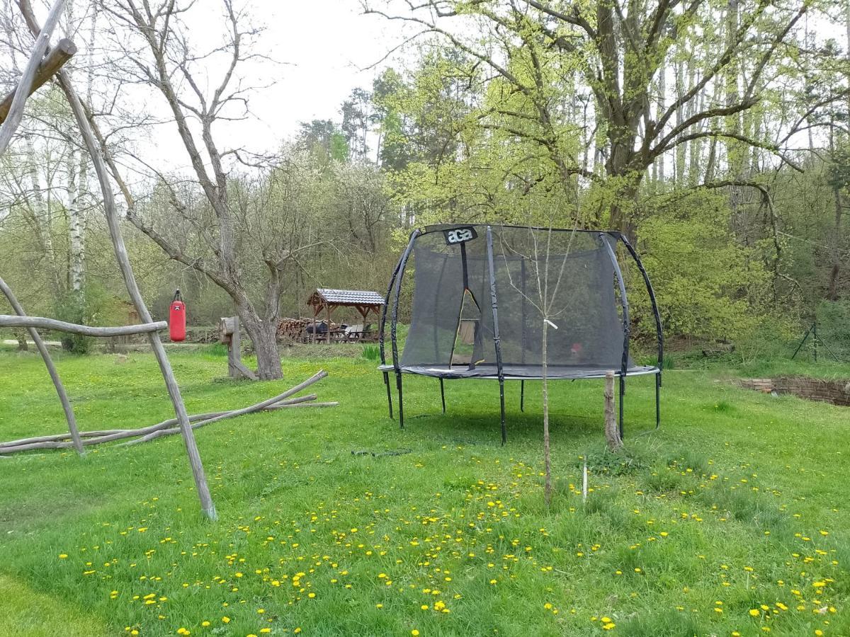 Penzion Litohlavy 17 - Na Samote U Lesa Králŭv Dvŭr Esterno foto