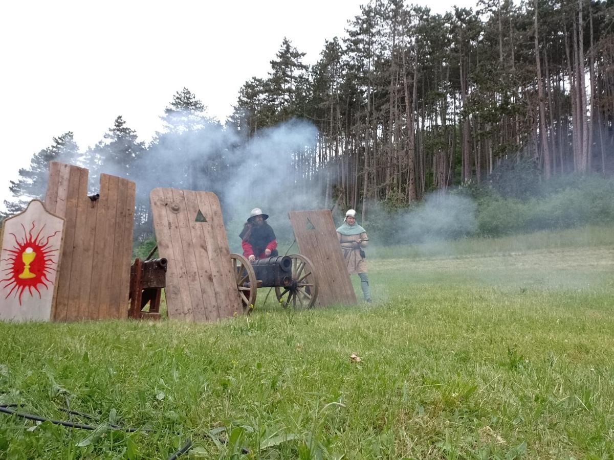 Penzion Litohlavy 17 - Na Samote U Lesa Králŭv Dvŭr Esterno foto